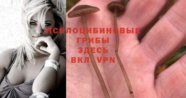 спиды Гусев