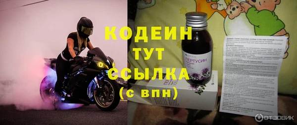 спиды Гусев