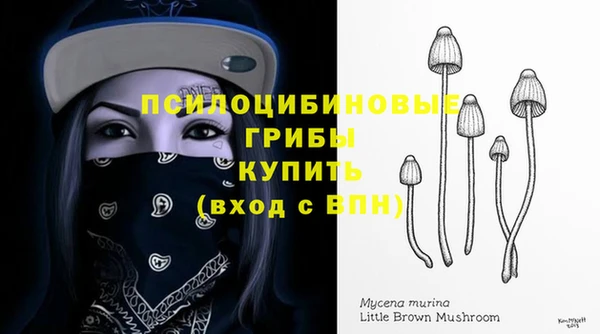 каннабис Дмитровск