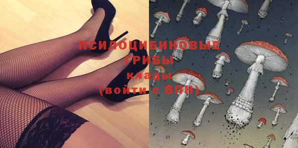 каннабис Дмитров