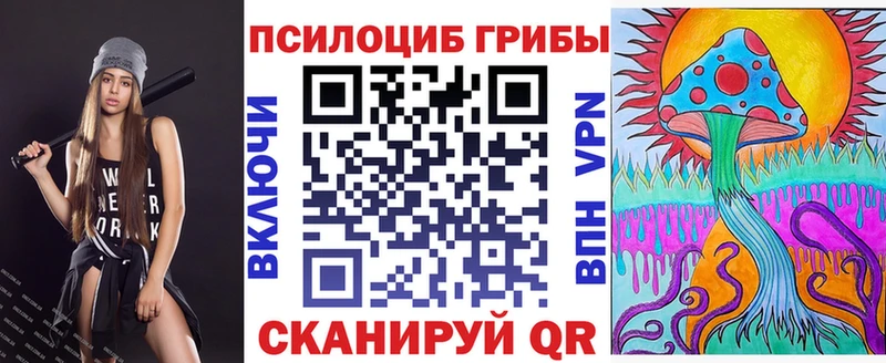 Псилоцибиновые грибы MAGIC MUSHROOMS  купить наркотики сайты  блэк спрут tor  Курган 